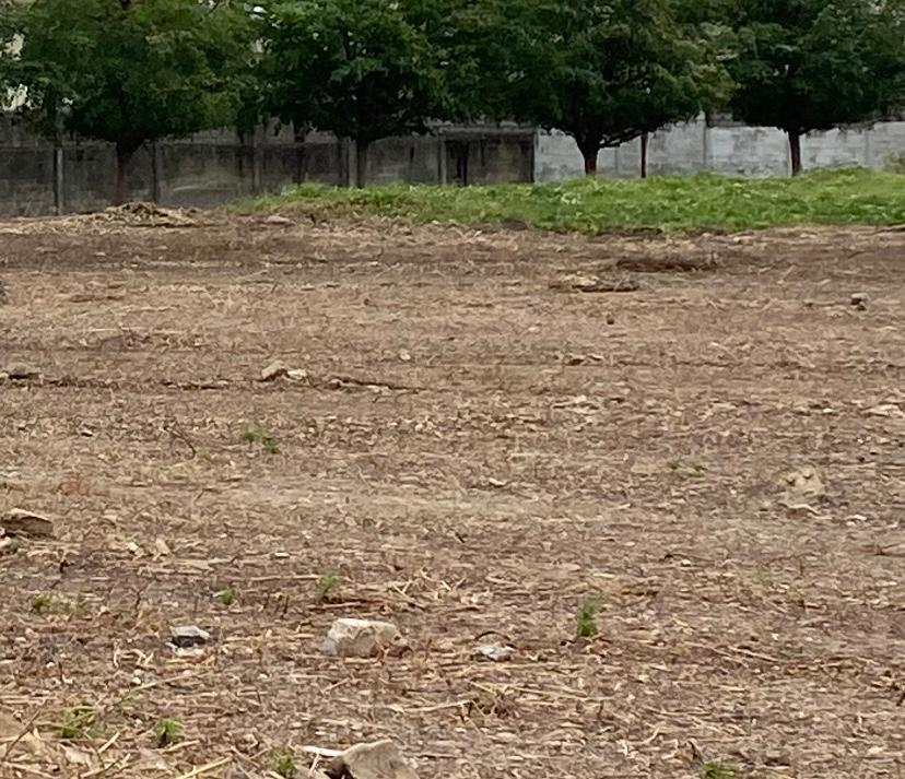 Terreno en Venta en Vía a La Costa - S. Estrada, Guayas — imagen 3