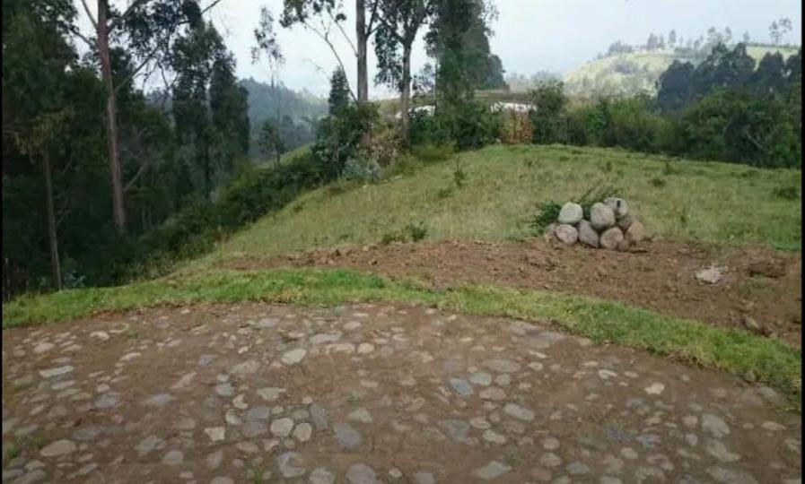 ! de oportunidad¡Terreno 2 Has Sector El Tejar - Yaruqui — imagen 10