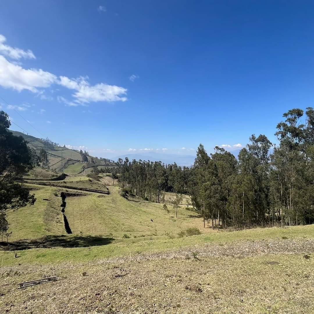 ! de oportunidad¡Terreno 2 Has Sector El Tejar - Yaruqui — imagen 6