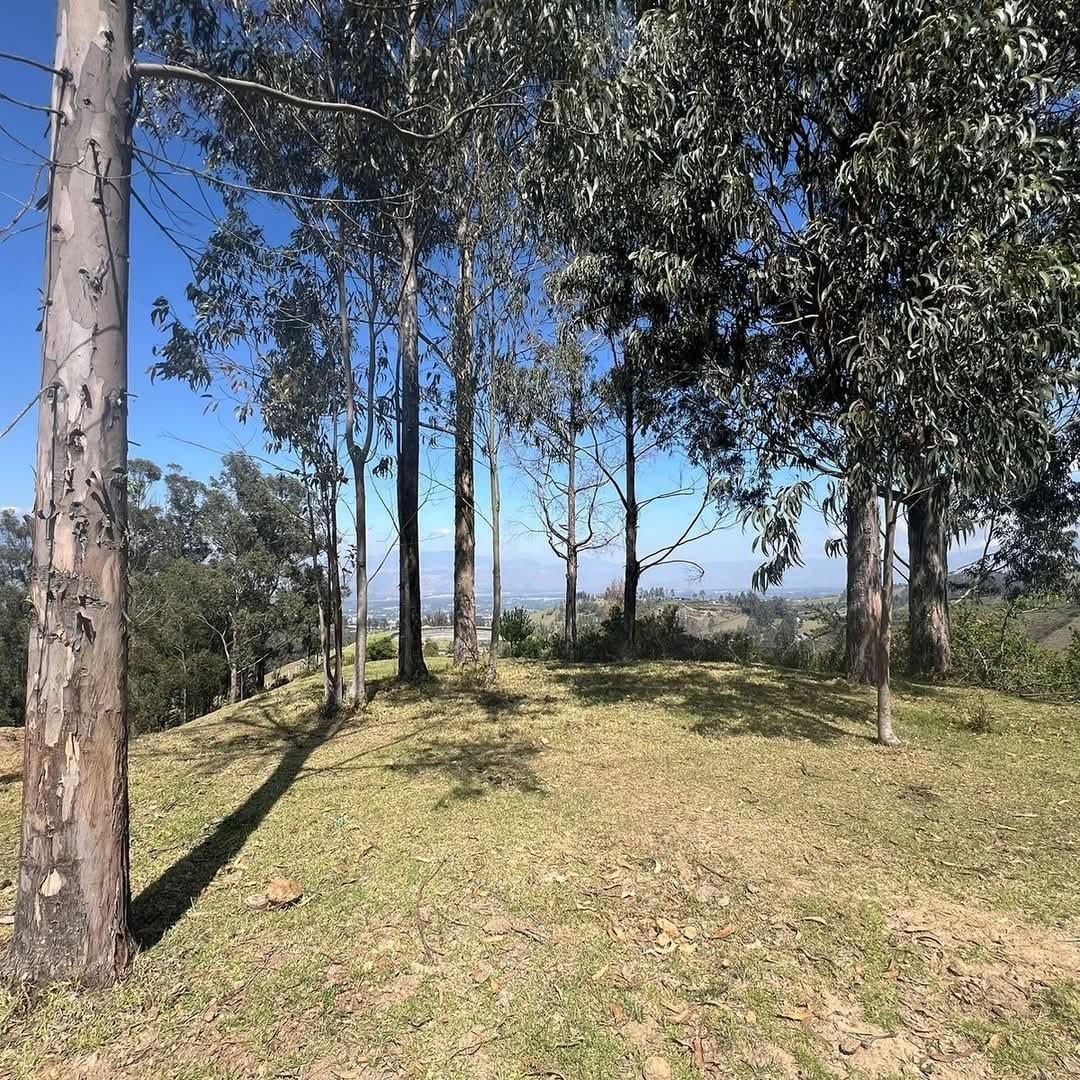 ! de oportunidad¡Terreno 2 Has Sector El Tejar - Yaruqui — imagen 5