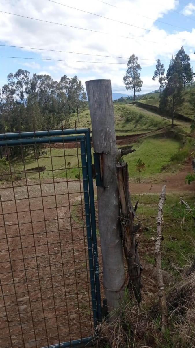 ! de oportunidad¡Terreno 2 Has Sector El Tejar - Yaruqui — imagen 4