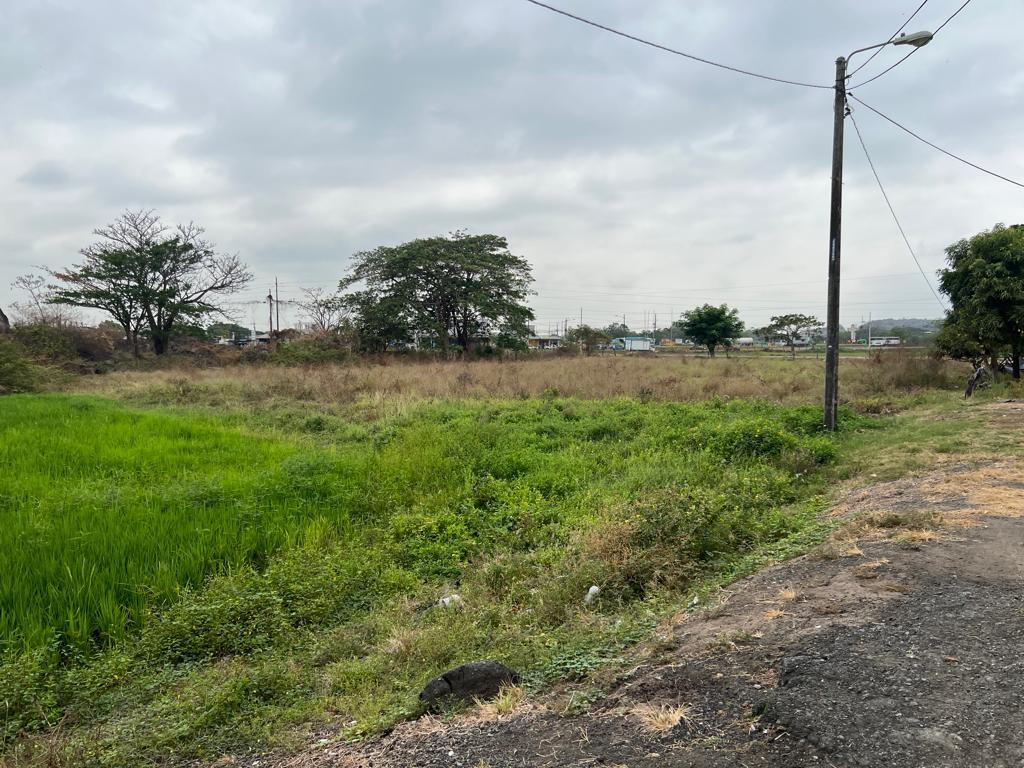 Venta Terreno 2.65ha Ingresando a Nobol, Guayas — imagen 6
