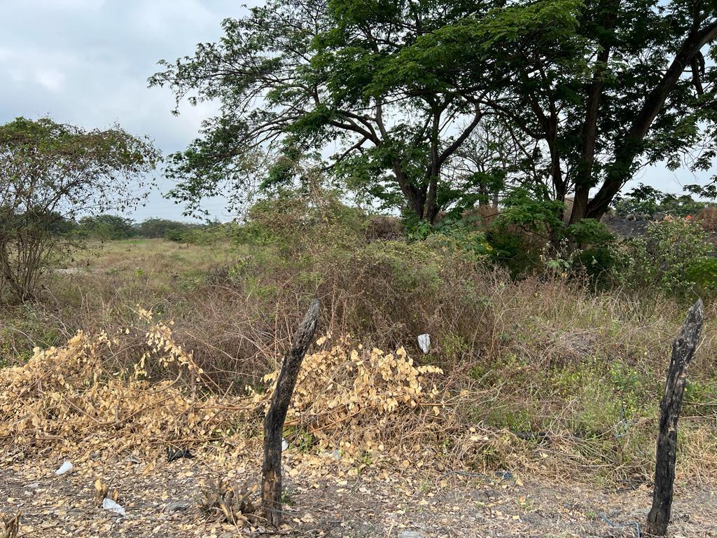 Venta Terreno 2.65ha Ingresando a Nobol, Guayas — imagen 3