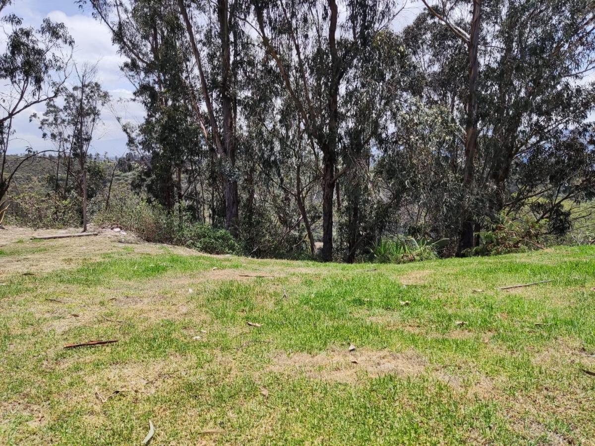 Vendo Terreno en Cumbaya Urbanización Pillagua — imagen 7