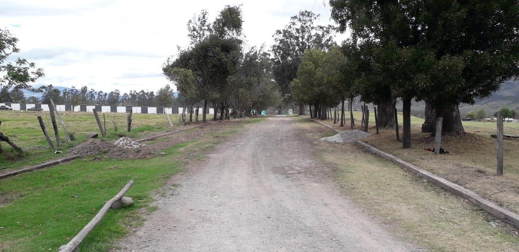 Re/max Futuro Vende Hermoso Terreno en Pifo de 15.833 m², Ideal Para Urbanizacion — imagen 10