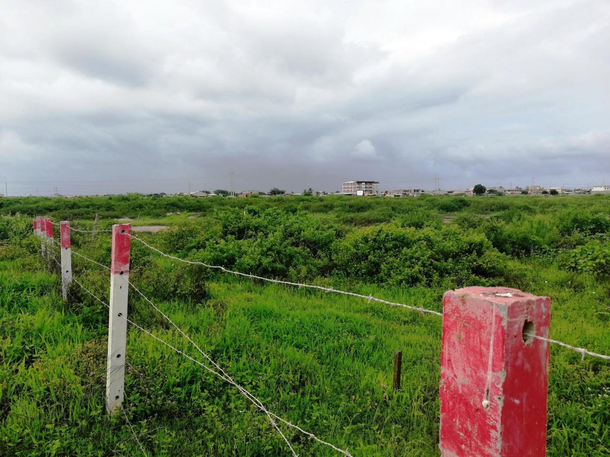 Venta Terreno 9has Cerca Al Puerto de Posorja, Precio de Remate!, Guayas — imagen 5