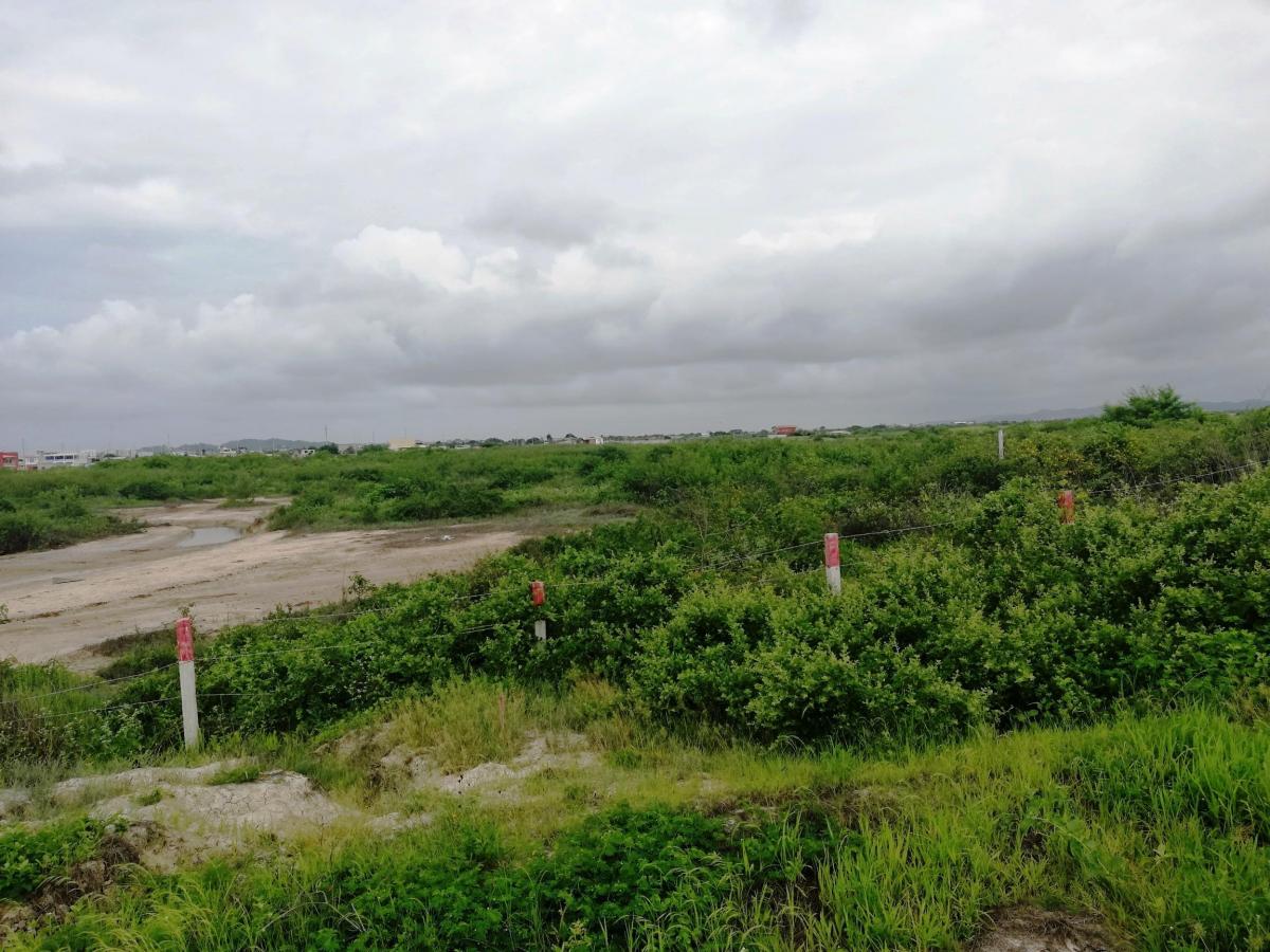 Venta Terreno 9has Cerca Al Puerto de Posorja, Precio de Remate!, Guayas — imagen 4