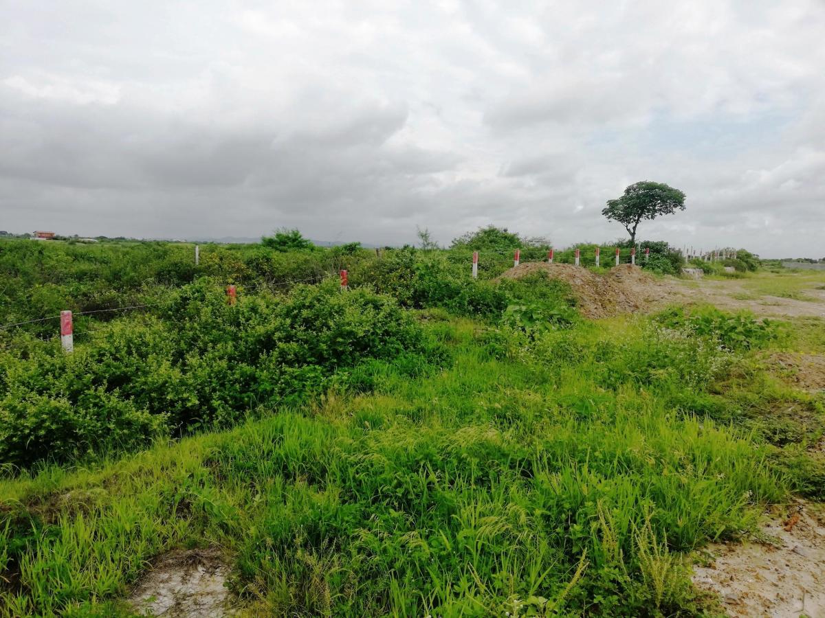 Venta Terreno 9has Cerca Al Puerto de Posorja, Precio de Remate!, Guayas — imagen 3