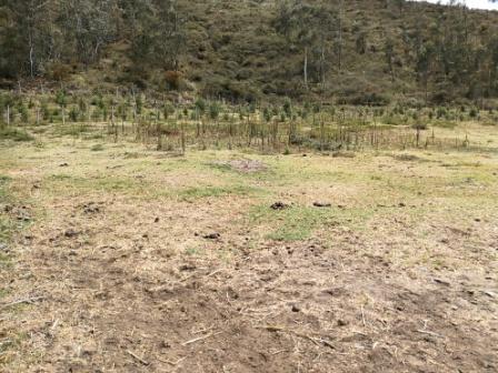 Oportunidad Venta 18563 m² Terreno Industrial Mediano Impacto, Calacali — imagen 6