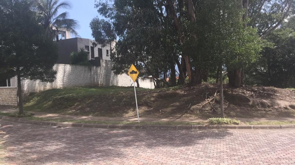 Vendo Excelente Terreno Plano - Sector Rancho San Francisco — imagen 8