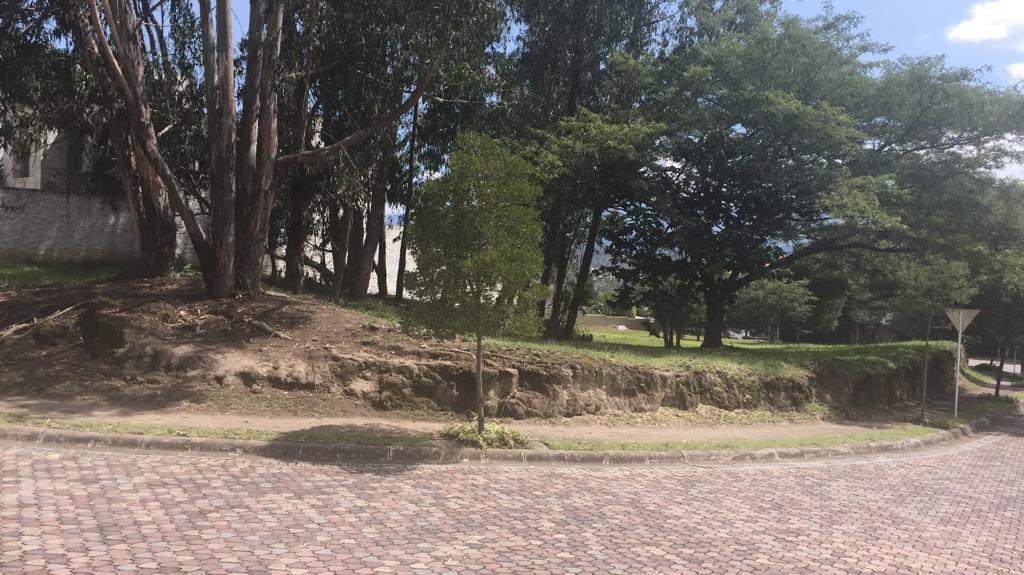 Vendo Excelente Terreno Plano - Sector Rancho San Francisco — imagen 6