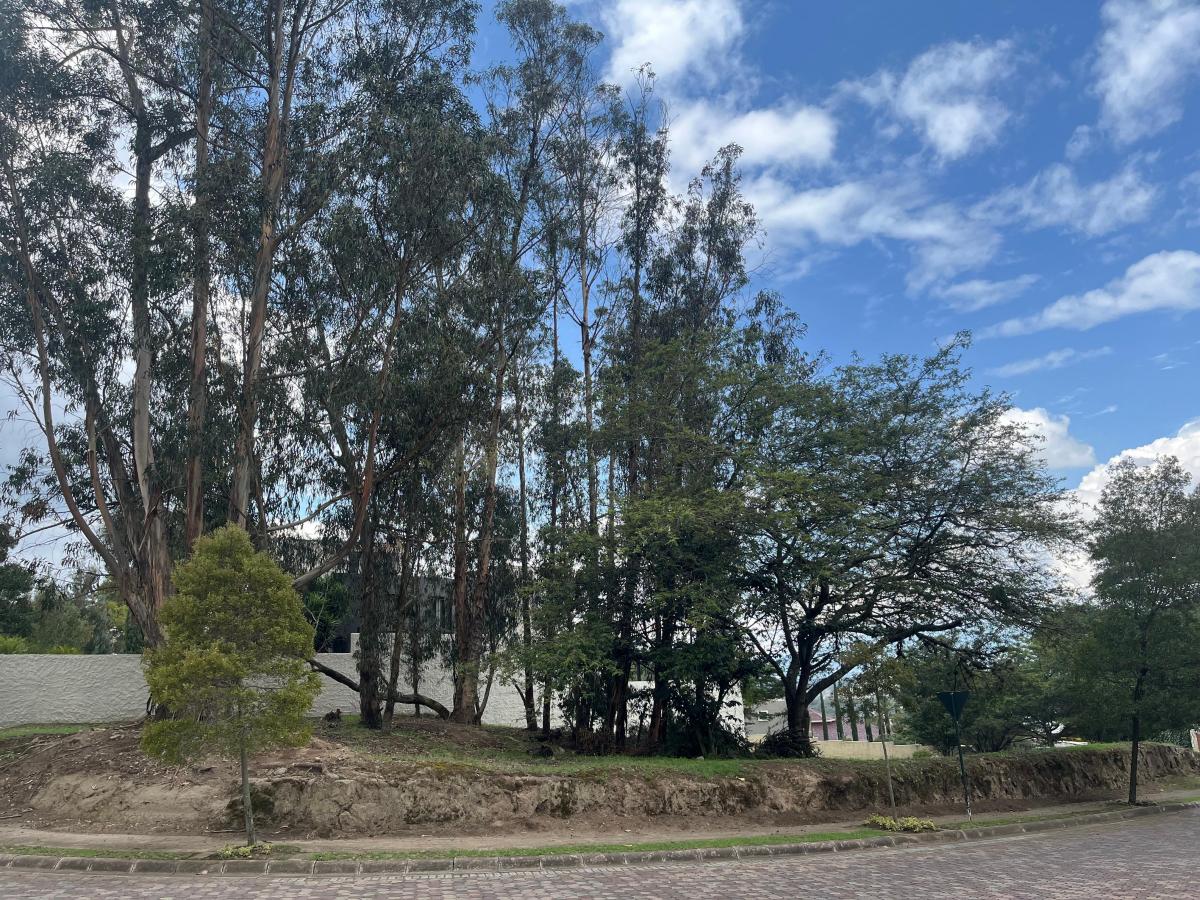 Vendo Excelente Terreno Plano - Sector Rancho San Francisco — imagen 4