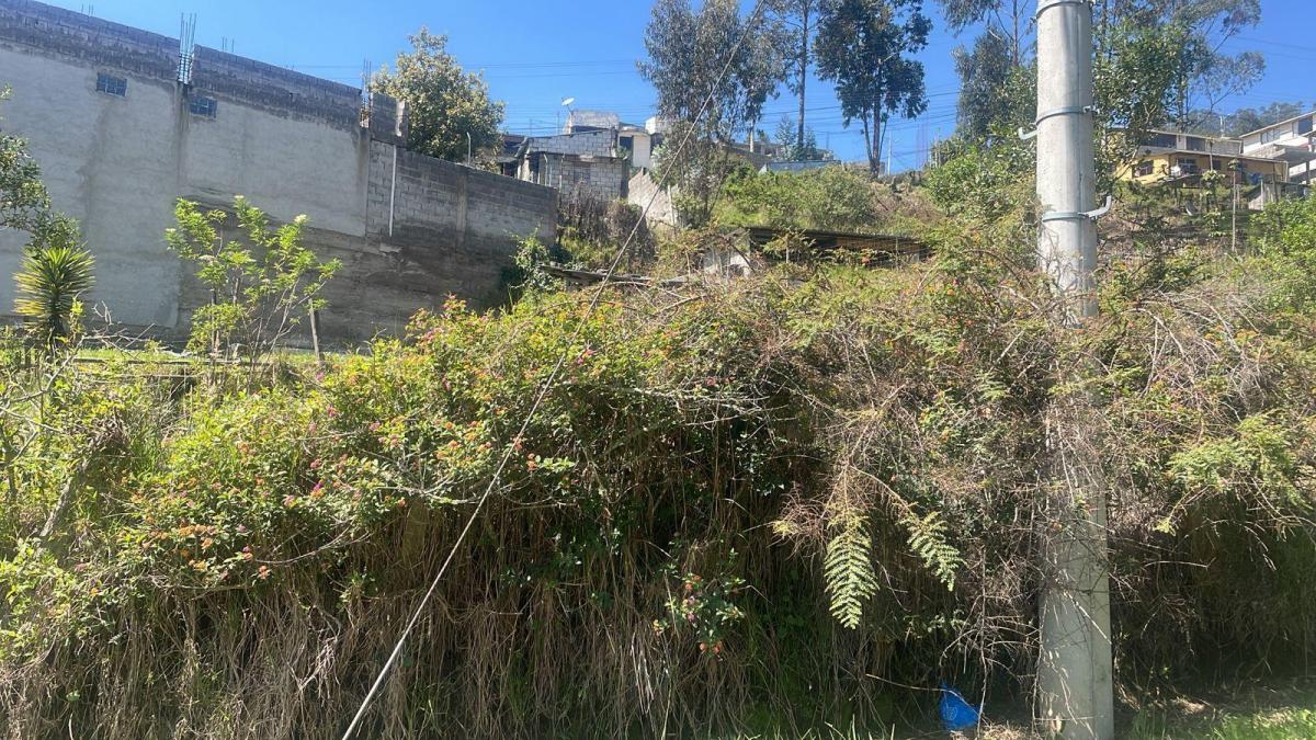 Terreno de Venta 30.000 m² Valle de Los Chillos Ontaneda — imagen 4