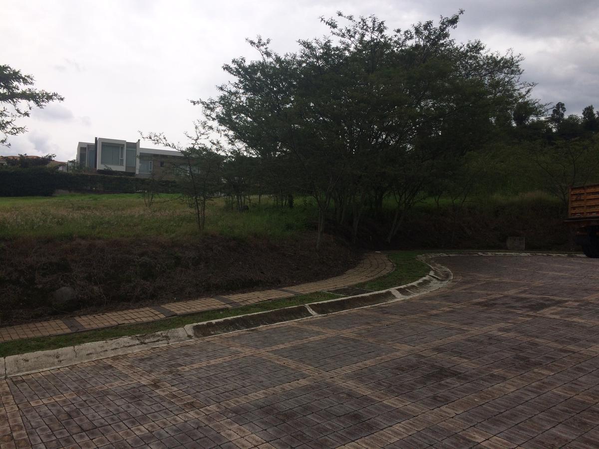 Terreno de Venta Ubicado Dentro de San Antonio de La Viña — imagen 6