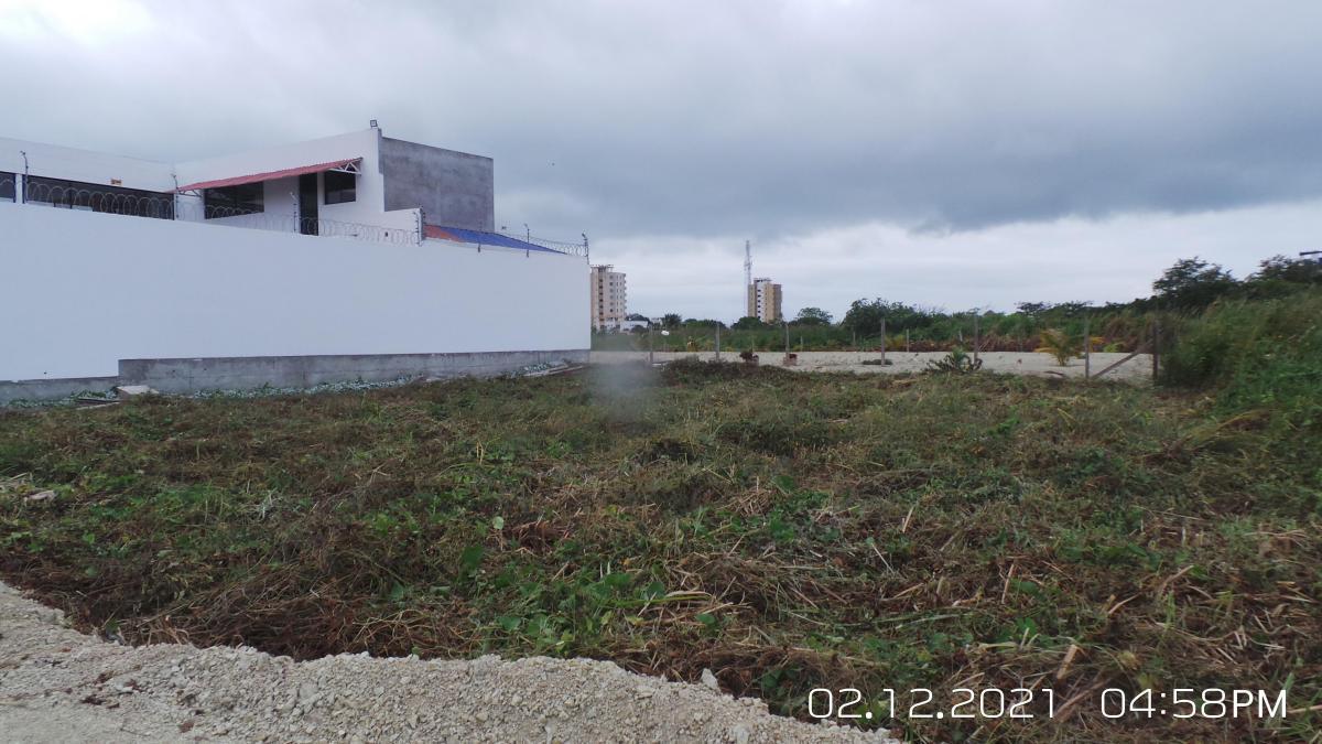 Terreno en Venta en Sector Castelnuovo, Parroquia Atacames Esmeraldas. Provincia de Esmeraldas — imagen 8