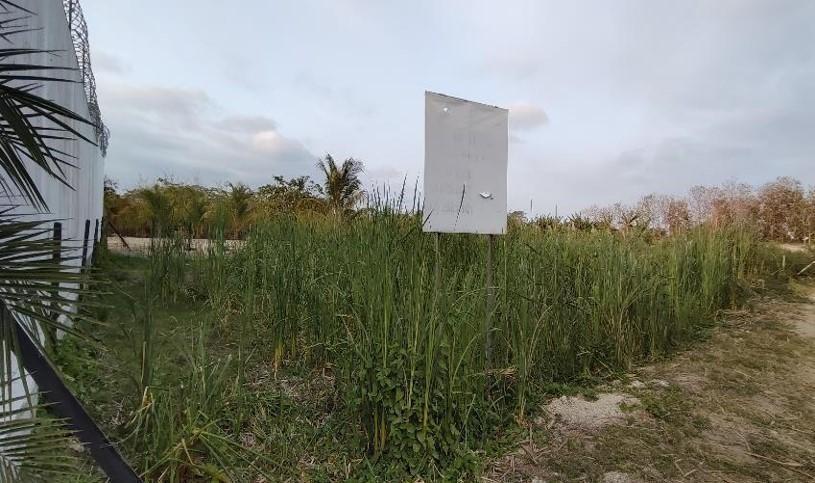 Terreno en Venta en Sector Castelnuovo, Parroquia Atacames Esmeraldas. Provincia de Esmeraldas — imagen 5