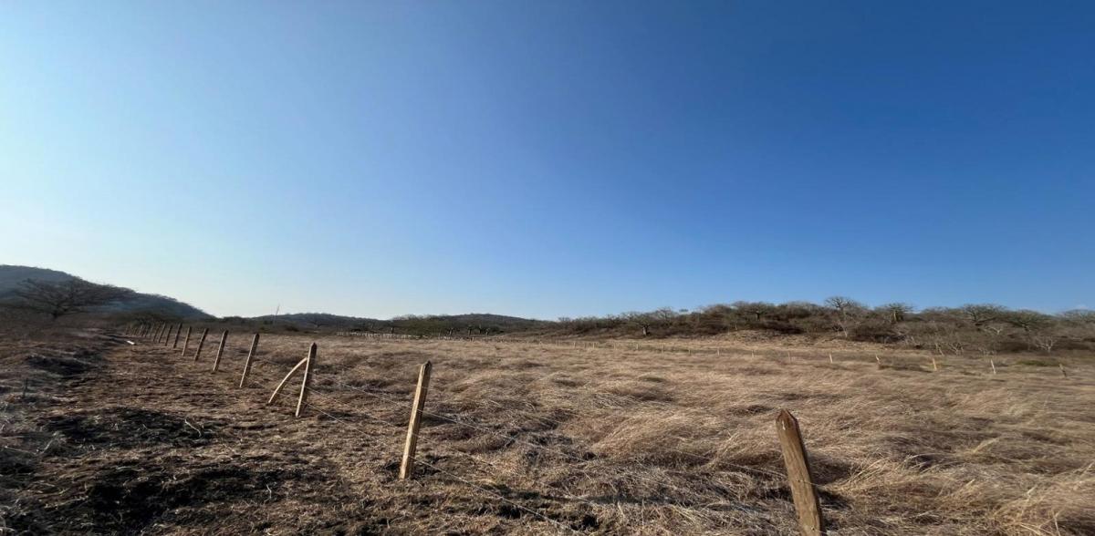 Venta de Terreno Rural en Montecristi, Manabí — imagen 9