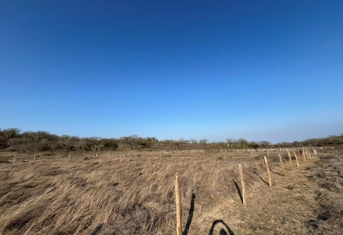 Venta de Terreno Rural en Montecristi, Manabí — imagen 8