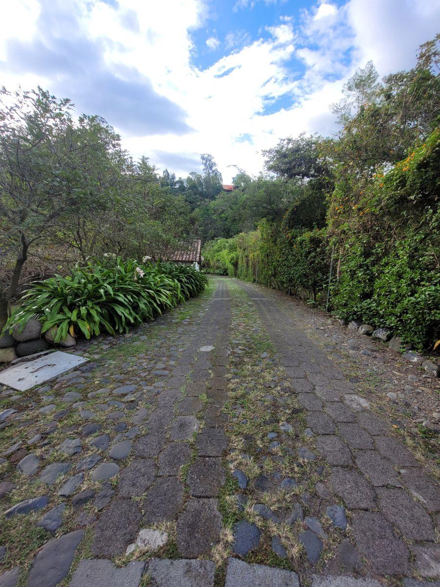 Casa de Venta con 3 Dorm. en Venta en Tumbaco, Sector La Viña — imagen 8