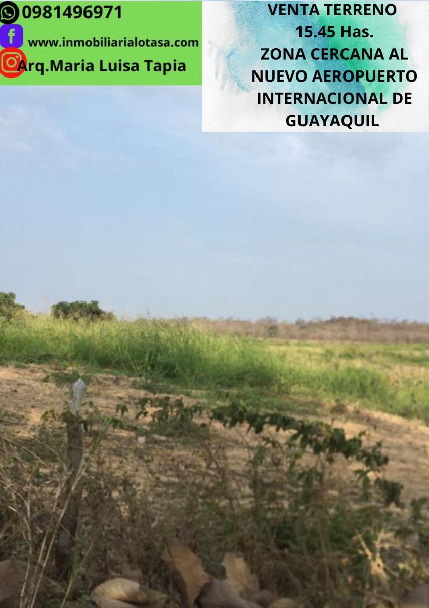 Venta Terreno 15.45 Has Via a La Costa, Sector Chongon, Guayas — imagen 9