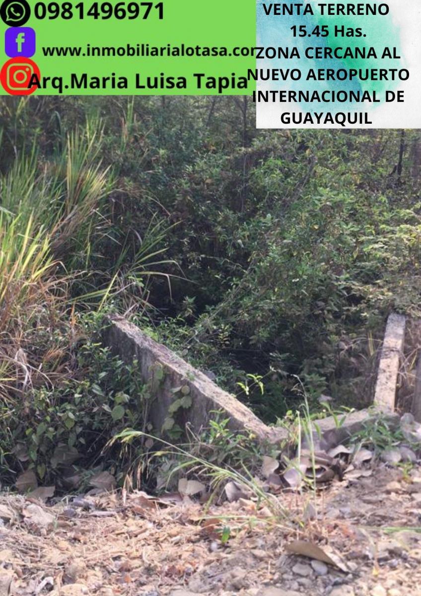 Venta Terreno 15.45 Has Via a La Costa, Sector Chongon, Guayas — imagen 6