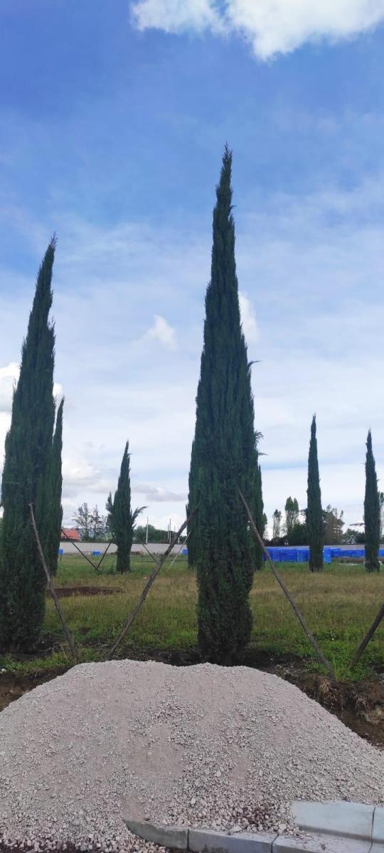 Hermosos Terrenos en Puembo! — imagen 9