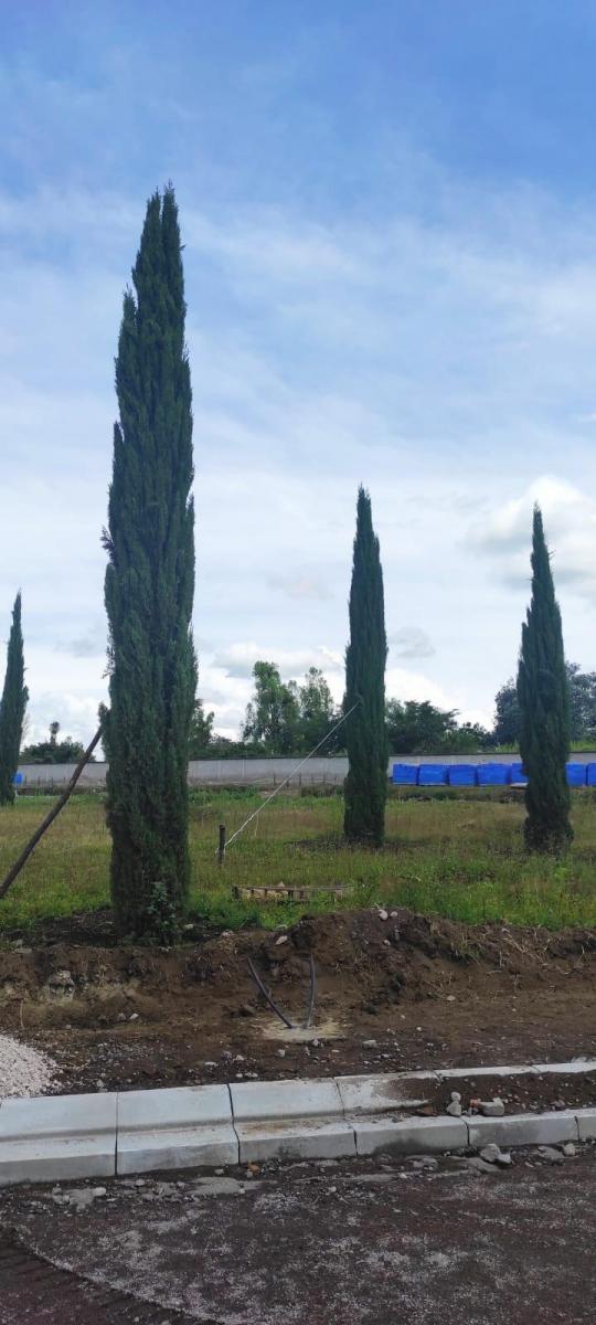 Hermosos Terrenos en Puembo! — imagen 7