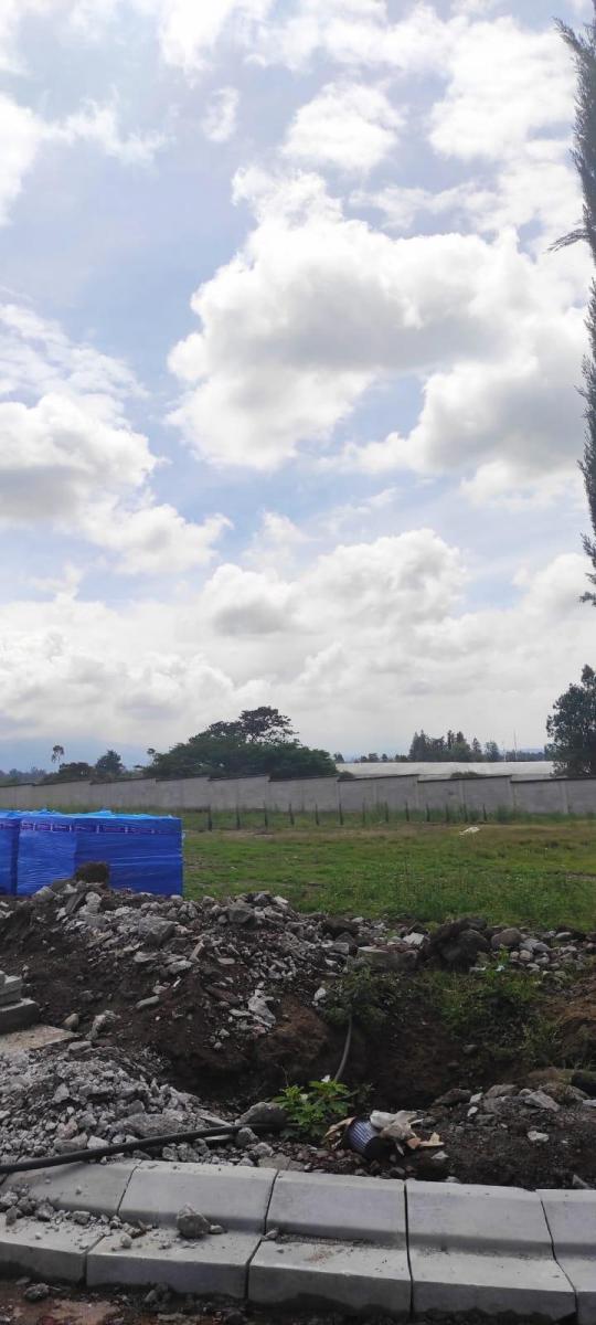 Hermosos Terrenos en Puembo! — imagen 6
