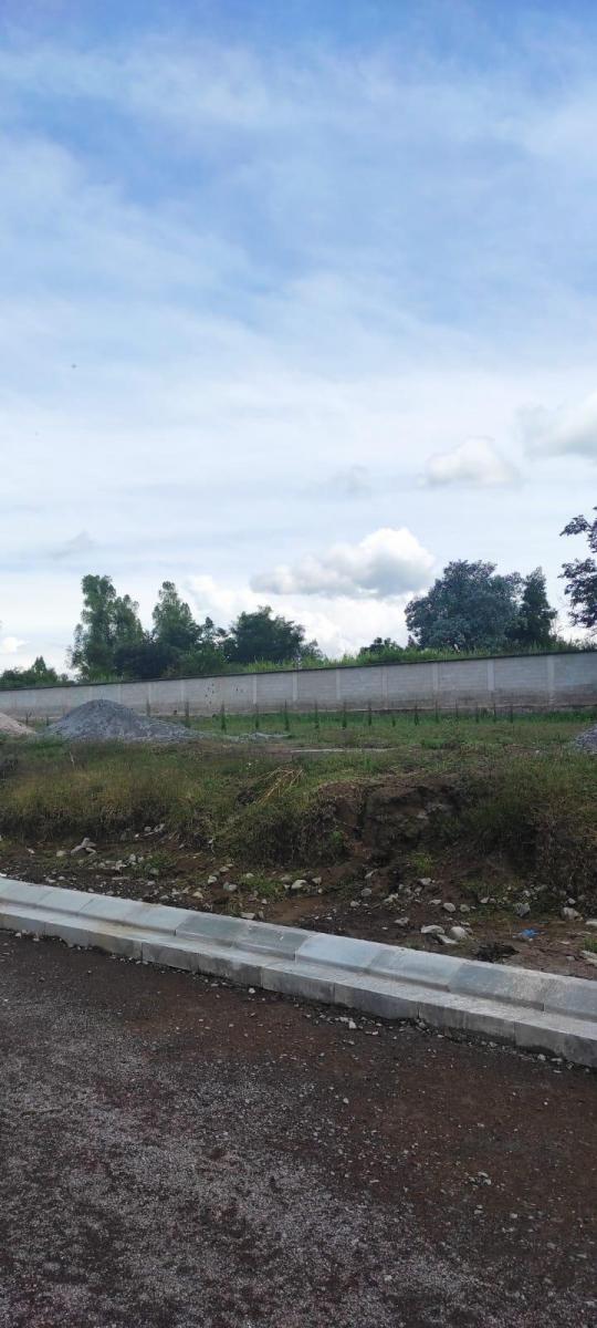 Hermosos Terrenos en Puembo! — imagen 3