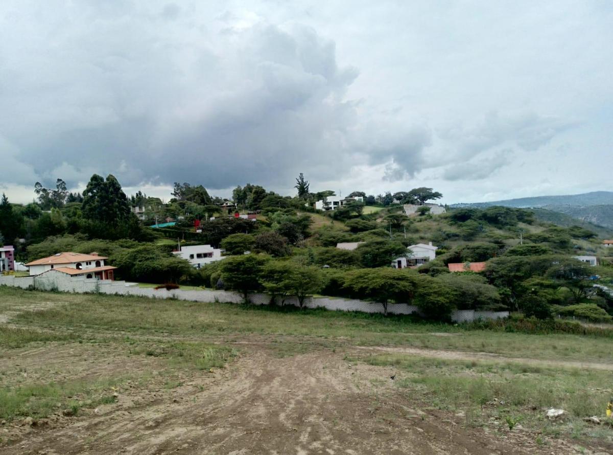 Vendo de Oportunidad Terreno 3 Has en Collaqui — imagen 6
