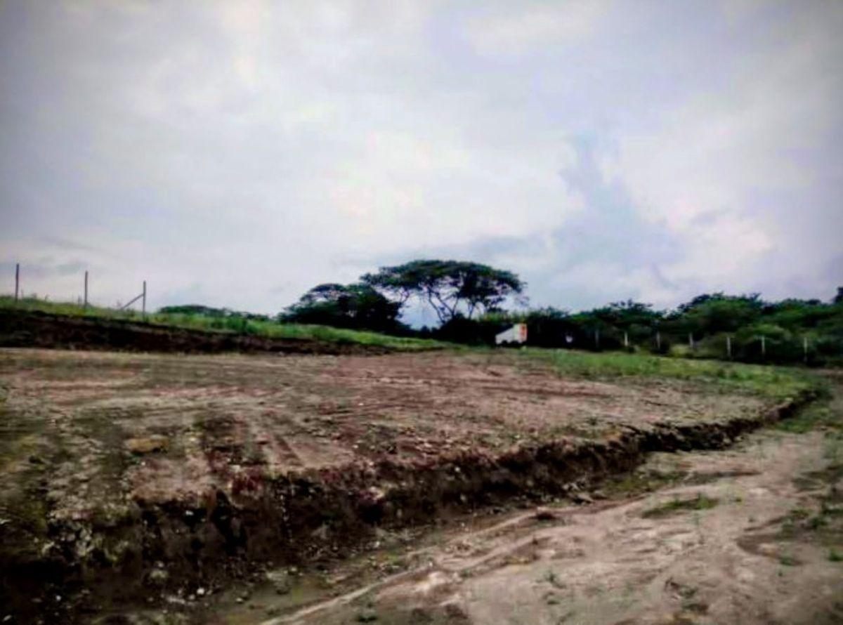Vendo de Oportunidad Terreno 3 Has en Collaqui — imagen 5