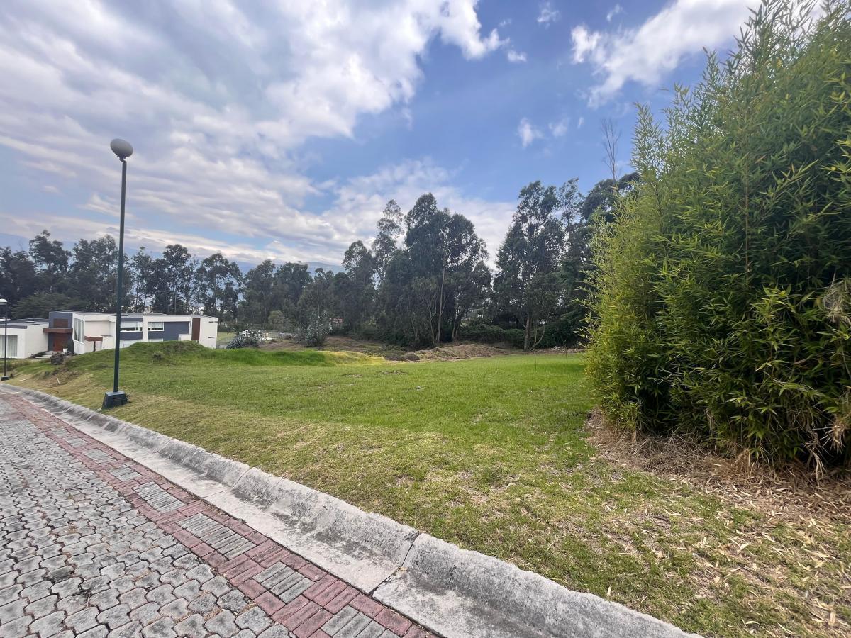 Terreno Venta San Juan Urbanizado — imagen 8