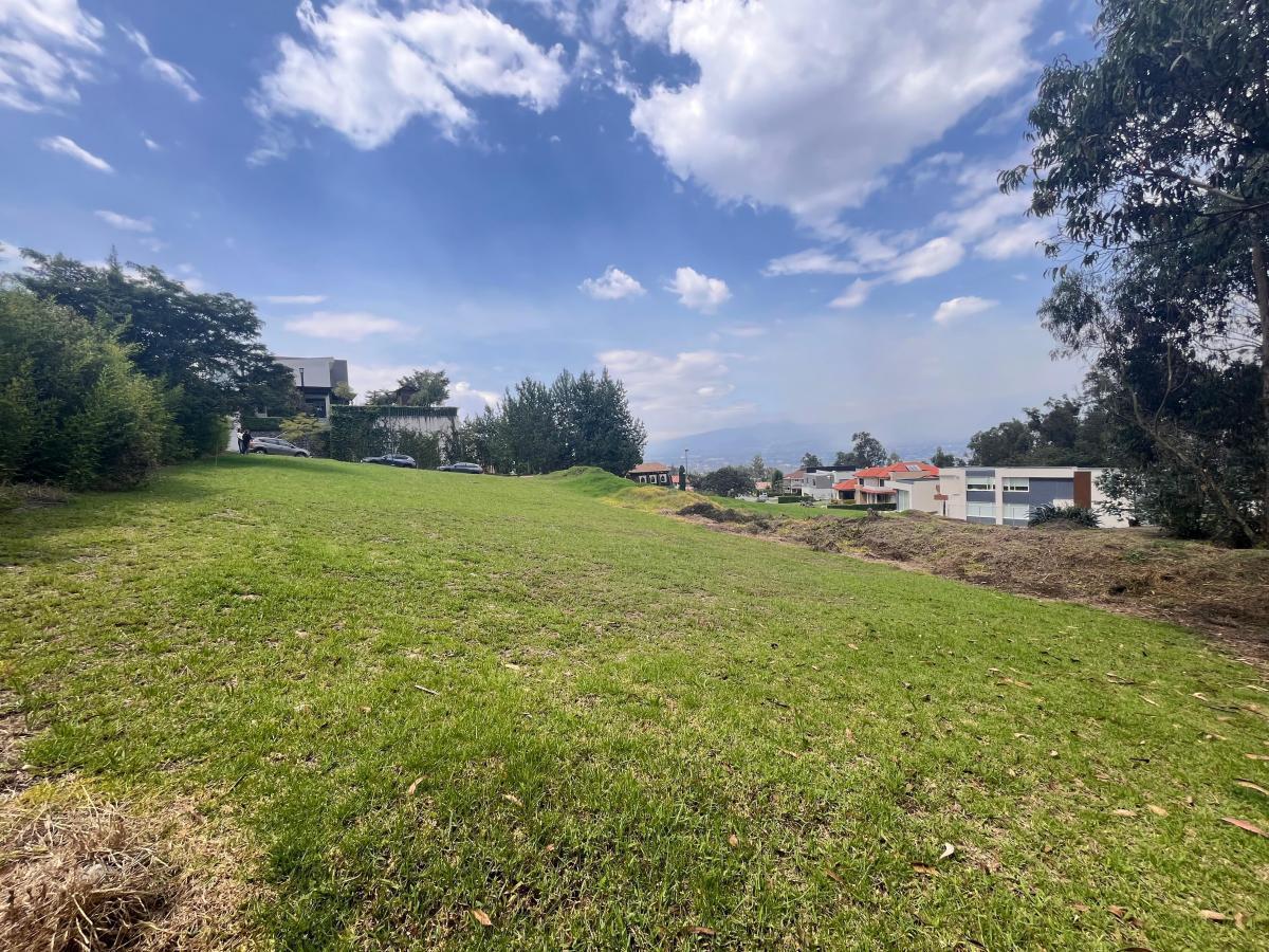 Terreno Venta San Juan Urbanizado — imagen 7