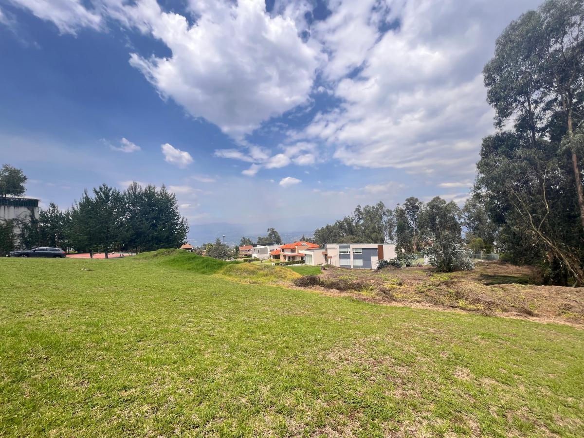 Terreno Venta San Juan Urbanizado — imagen 6