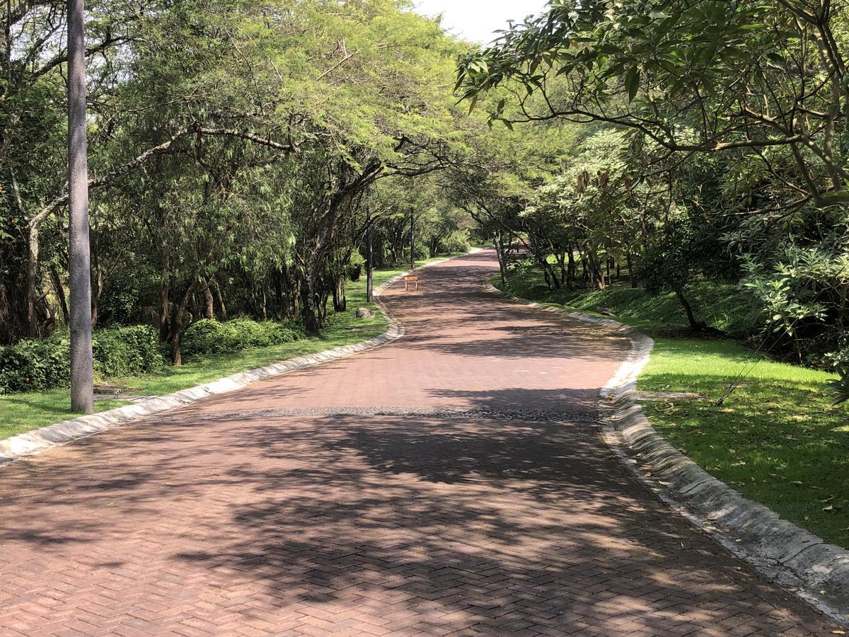 Espectacular Terreno de Venta Dentro de La Viña del Río — imagen 4