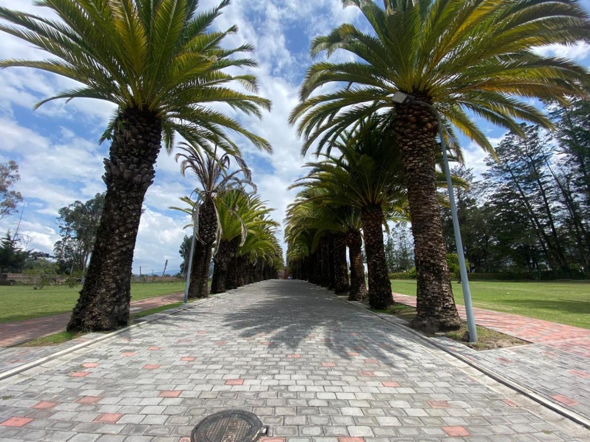 Se Vende Terreno en Urb Privada Puembo (Sector Colegio Americano, Highlands) — imagen 4