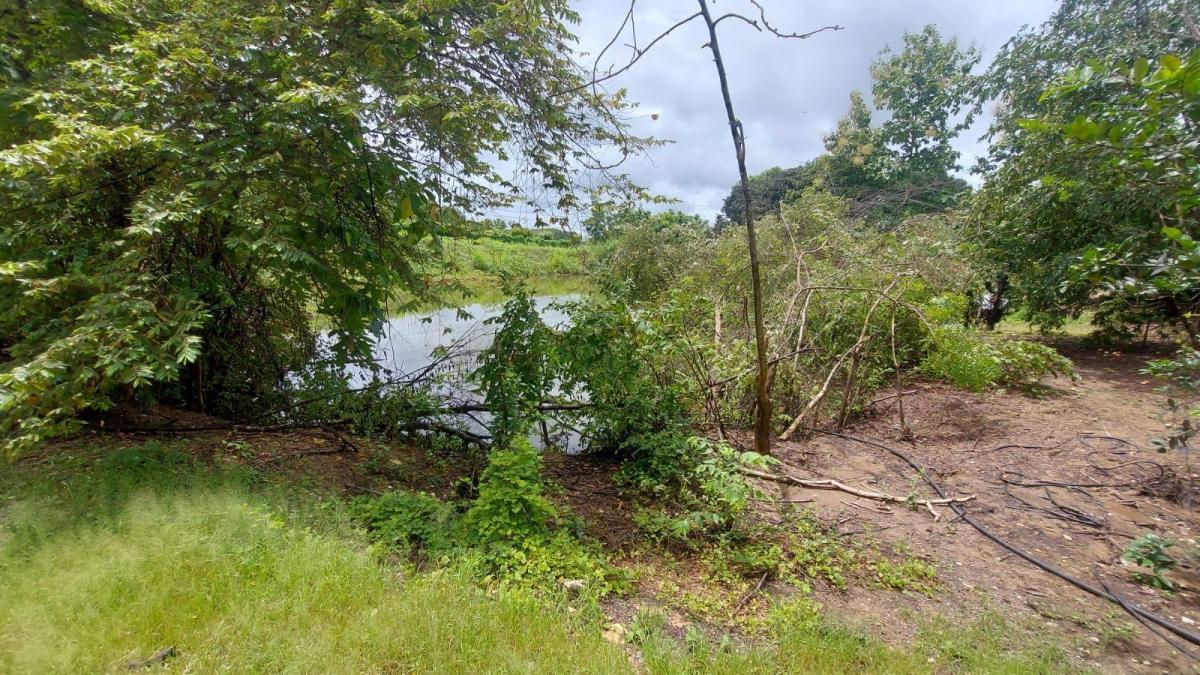 Terreno Al Pie de La Vía a La Costa Km 45, Guayas — imagen 9