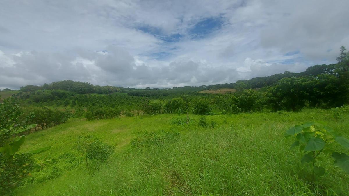 Terreno Al Pie de La Vía a La Costa Km 45, Guayas — imagen 8