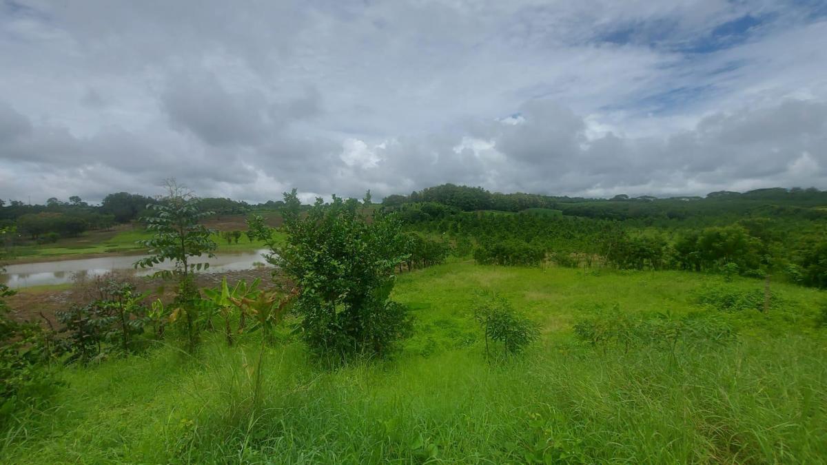 Terreno Al Pie de La Vía a La Costa Km 45, Guayas — imagen 7