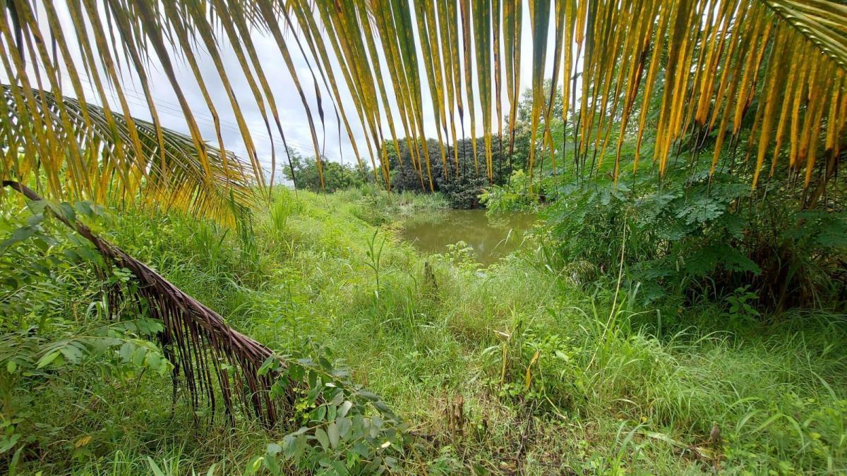 Terreno Al Pie de La Vía a La Costa Km 45, Guayas — imagen 6