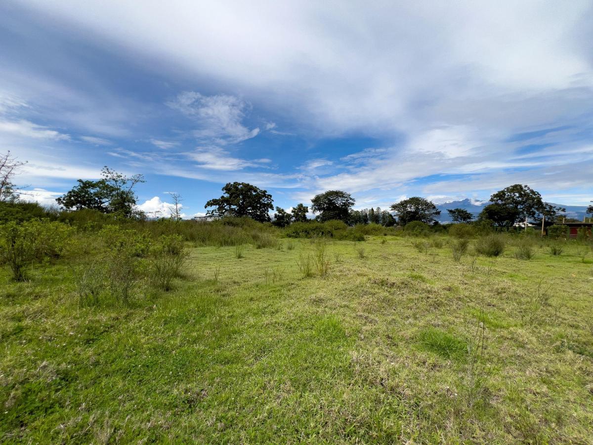 Terreno en Venta Tababela 5.000 m Amplio Frente, Ideal Para Bodegas — imagen 10