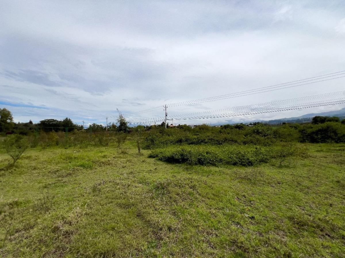 Terreno en Venta Tababela 5.000 m Amplio Frente, Ideal Para Bodegas — imagen 9