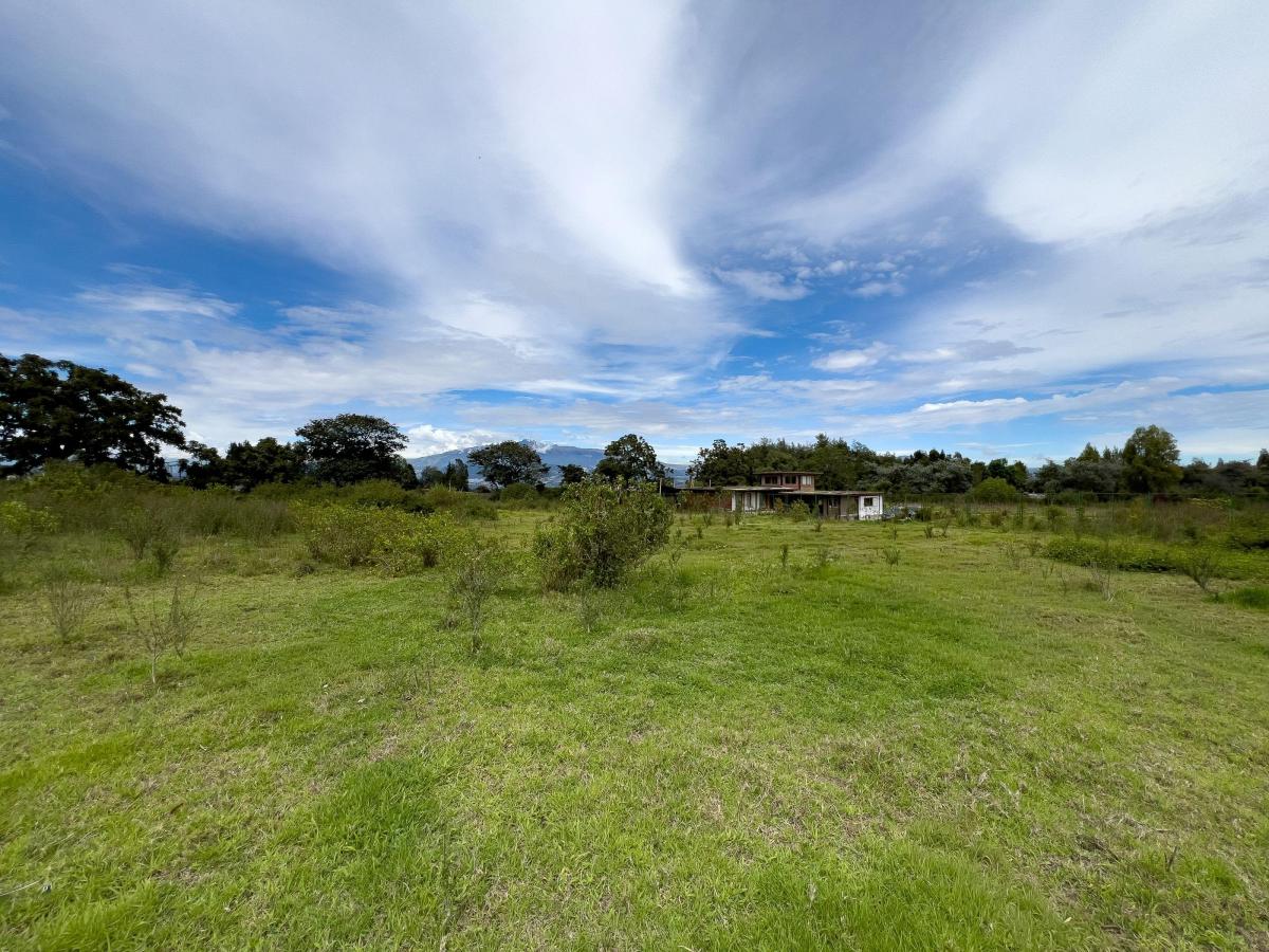 Terreno en Venta Tababela 5.000 m Amplio Frente, Ideal Para Bodegas — imagen 8