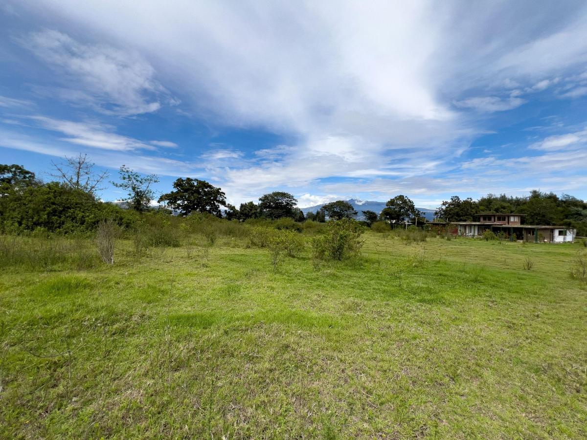 Terreno en Venta Tababela 5.000 m Amplio Frente, Ideal Para Bodegas — imagen 7