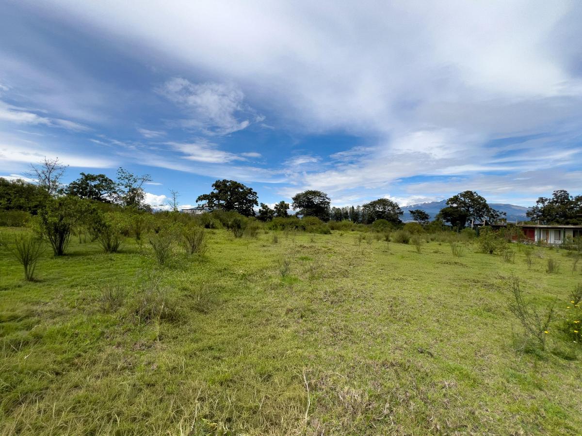 Terreno en Venta Tababela 5.000 m Amplio Frente, Ideal Para Bodegas — imagen 6
