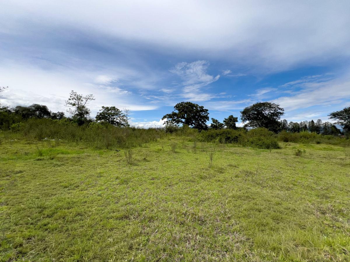 Terreno en Venta Tababela 5.000 m Amplio Frente, Ideal Para Bodegas — imagen 4