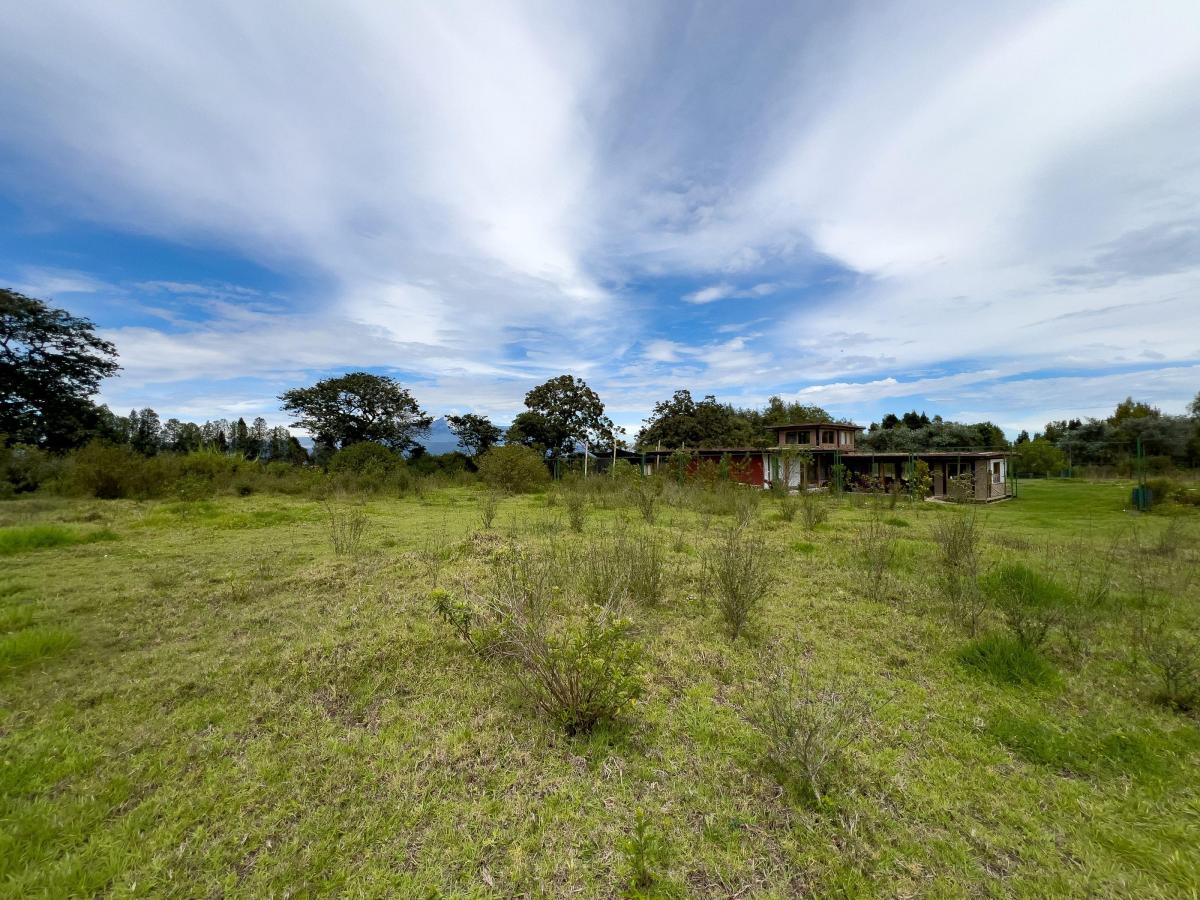 Terreno en Venta Tababela 5.000 m Amplio Frente, Ideal Para Bodegas — imagen 3
