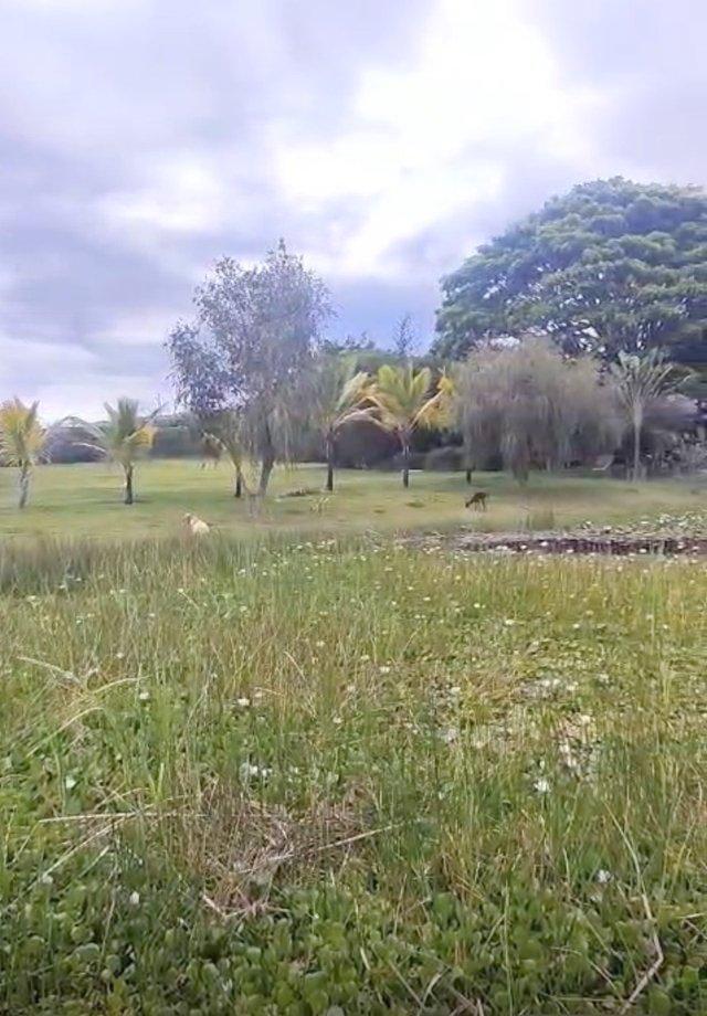 Terreno Exclusivo en Venta 5.000 m² Lotizable La Atalaya - Yunguilla, Azuay — imagen 3