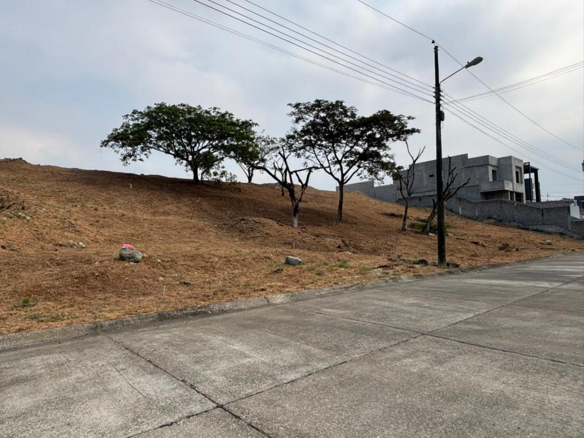 Venta Terreno Multifamiliar con Diseño Panorámico en Urbanización Vicolinci - I. Alarcón, Guayas — imagen 8