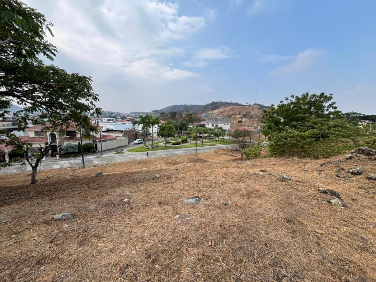 Venta Terreno Multifamiliar con Diseño Panorámico en Urbanización Vicolinci - I. Alarcón, Guayas — imagen 7